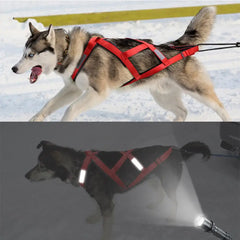Thickened Chest Pet Harness Double Dog Harness Adjustable Reflective Pet Harness for Night Walking Weight for Outdoor