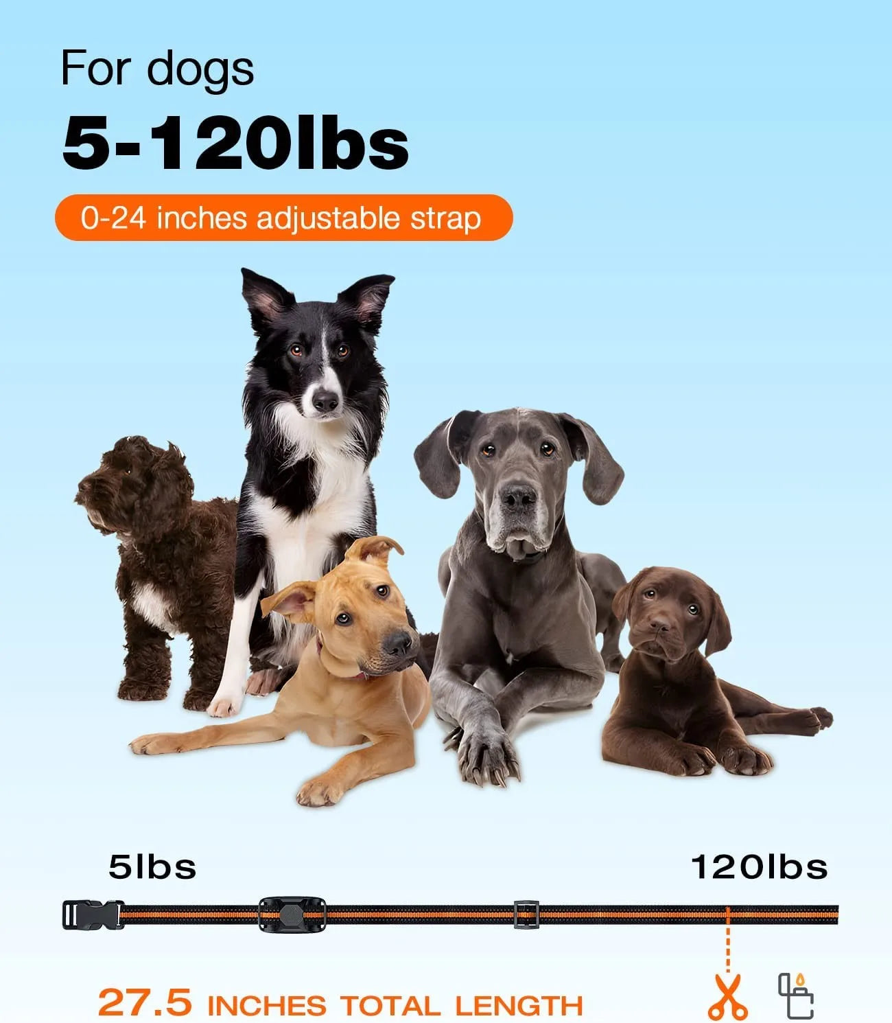 1000M Waterproof Remote Dog Training Collar – Shock & Vibration for 2 Dogs