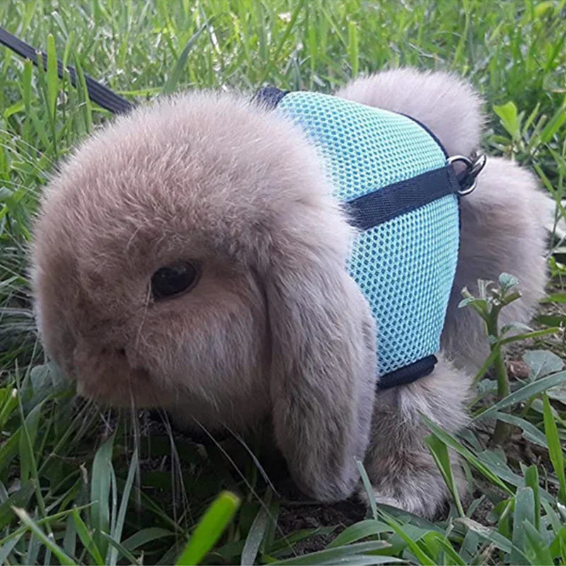 Summer Guinea Pig Hamster Ferret Leash Breathable Mesh Rabbit Pet Harness Bunny Accessories for Cats Cosas Para Animales Reales