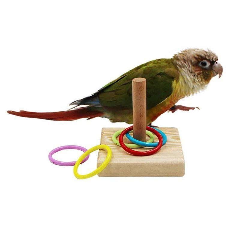 Bird Training Ring Toy Parrot Educational Toys Training Interactive Bird Supplies Bird Toys Random Color