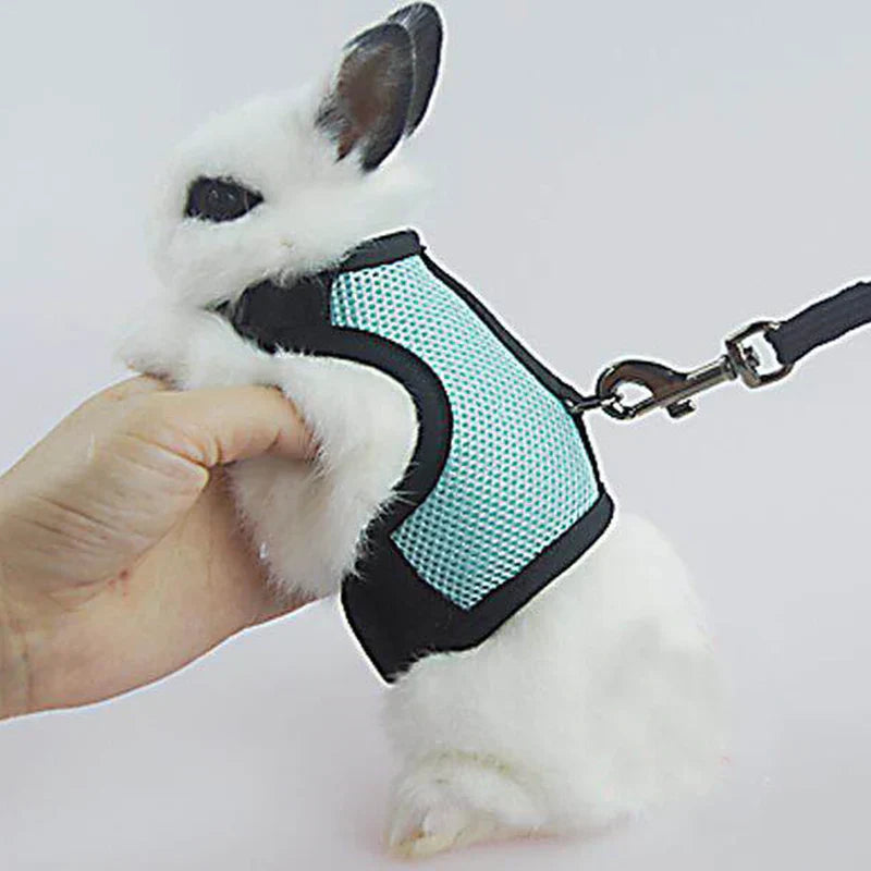 Summer Guinea Pig Hamster Ferret Leash Breathable Mesh Rabbit Pet Harness Bunny Accessories for Cats Cosas Para Animales Reales