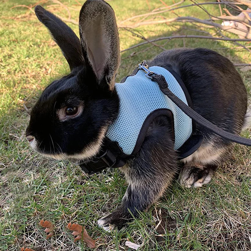 Summer Guinea Pig Hamster Ferret Leash Breathable Mesh Rabbit Pet Harness Bunny Accessories for Cats Cosas Para Animales Reales